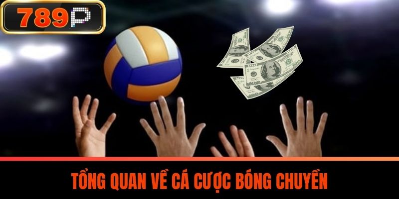 Tổng Quan Về Cá Cược Bóng Chuyền