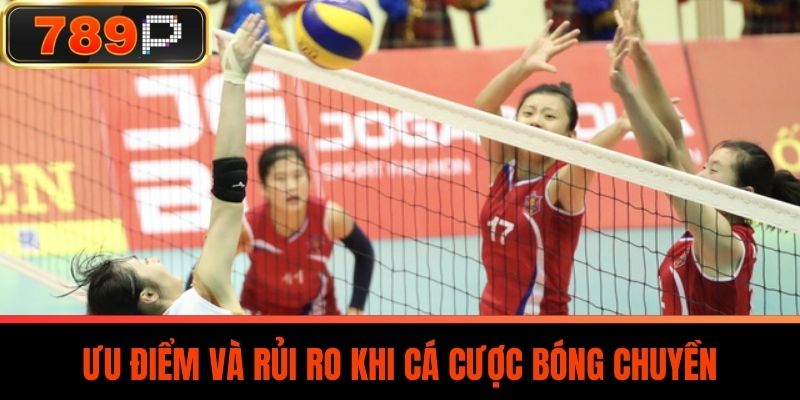 Ưu Điểm Và Rủi Ro Khi Cá Cược Bóng Chuyền