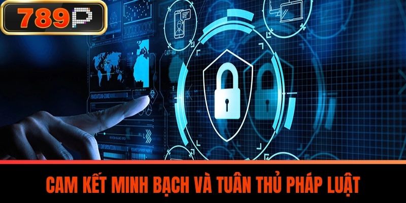Cam Kết Minh Bạch Và Tuân Thủ Pháp Luật