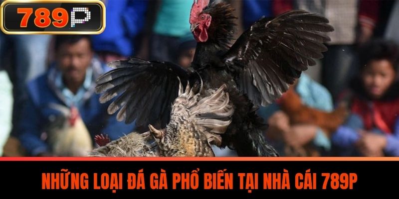 Những loại Đá Gà phổ biến tại nhà cái 789P