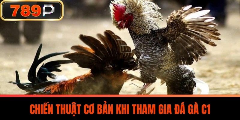 Chiến Thuật Cơ Bản Khi Tham Gia Đá Gà C1