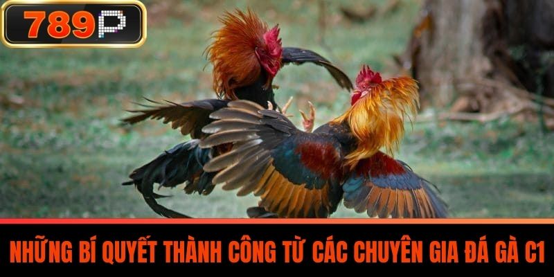 Những Bí Quyết Thành Công Từ Các Chuyên Gia Đá Gà C1