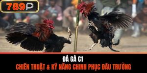 Đá Gà C1 - Chiến Thuật & Kỹ Năng Chinh Phục Đấu Trường