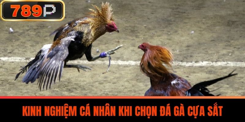 Kinh Nghiệm Cá Nhân Khi Chọn Đá Gà Cựa Sắt