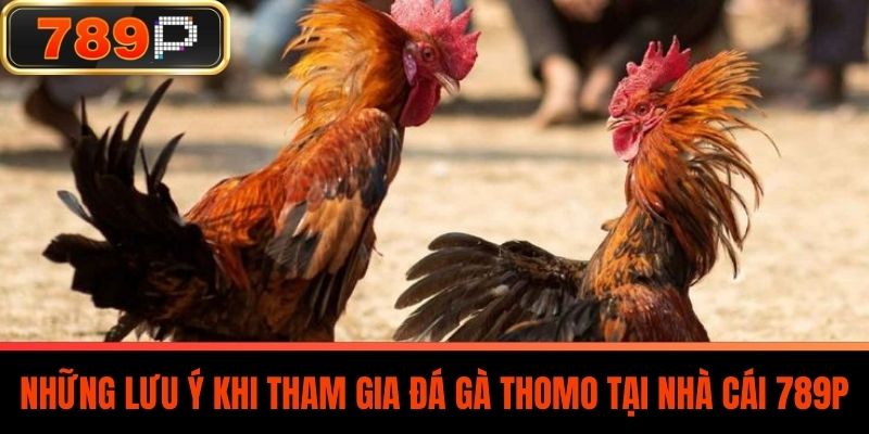 Những Lưu Ý Khi Tham Gia Đá Gà Thomo Tại Nhà Cái 789P