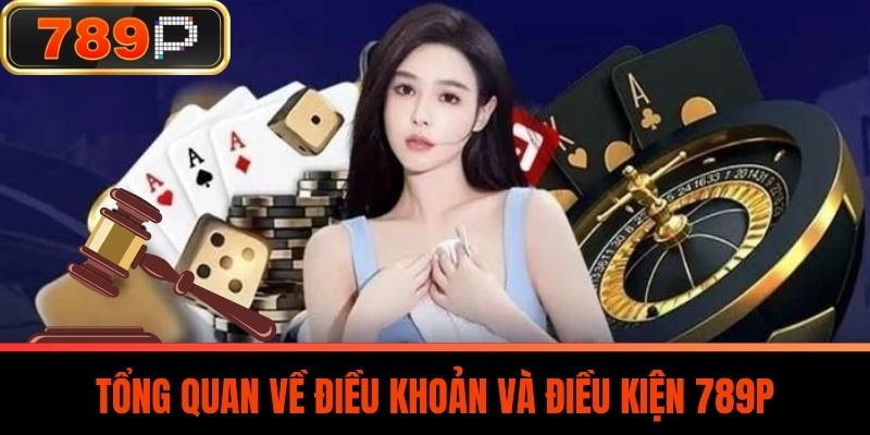 Tổng Quan Về Điều Khoản Và Điều Kiện 789P