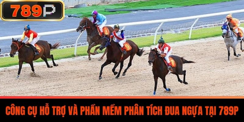 Công Cụ Hỗ Trợ Và Phần Mềm Phân Tích Đua Ngựa Tại 789P