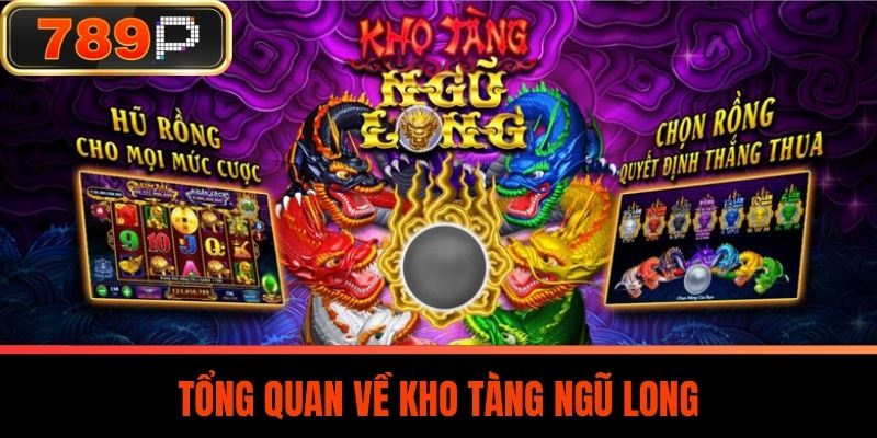Tổng Quan Về Kho Tàng Ngũ Long