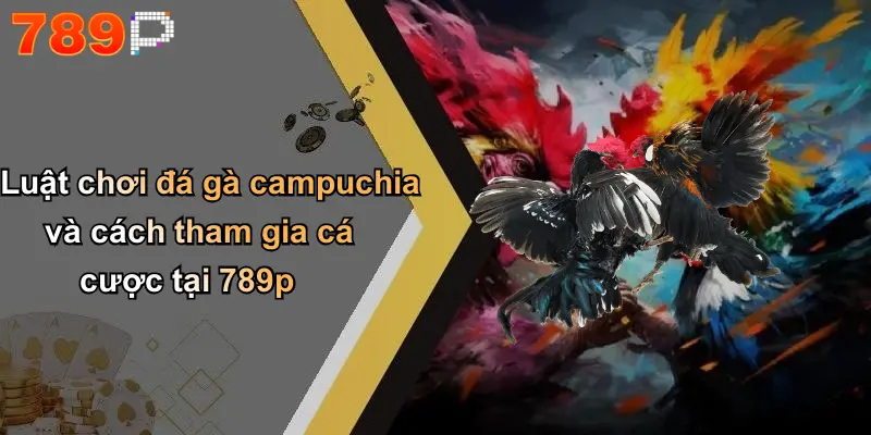 Luật chơi đá gà campuchia và cách tham gia cá cược tại 789p
