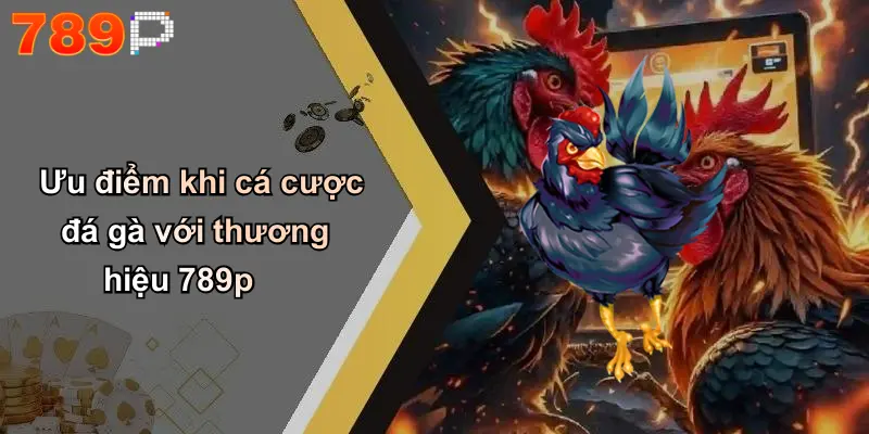 Ưu điểm khi cá cược đá gà với thương hiệu 789p